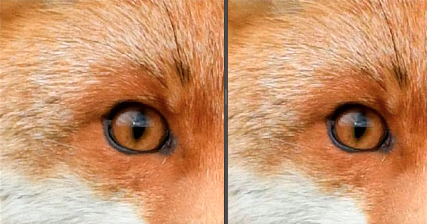 Komprimering med Kvalitet 6 Det är mycket svårt att se skillnaden mellan den okomprimerade bilden på 20 MB till vänster och den komprimerade bilden på 742 kB till höger.